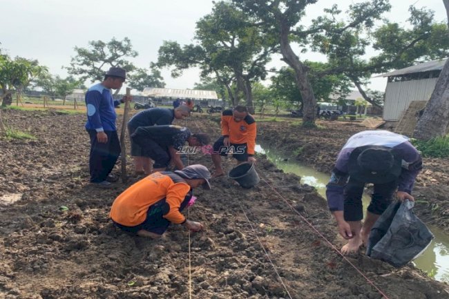 Mengintip Proses Tanam Kacang Tanah di Lapas Terbuka Kendal