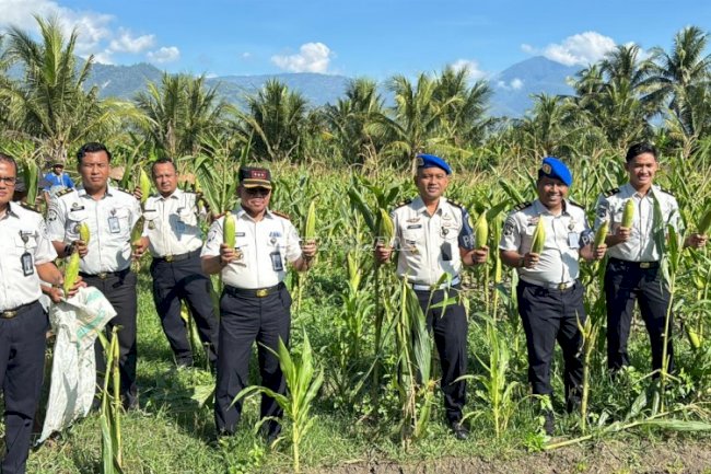 Lapas Palu Sukses Panen 125 Kg Jagung Manis dan 40 Kg Sawi 
