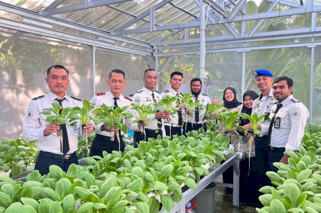 Rumah Hidroponik Bapas Tanjungpandan Hasilkan 35 Kilogram Pakcoy, Dukung Ketahanan Pangan Perkotaan