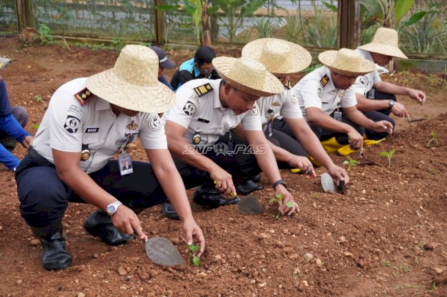 Lapas Banjarbaru Tanam Cabai dan Panen Ubi, Perkuat Ketahanan Pangan dan Kemandirian Warga Binaan