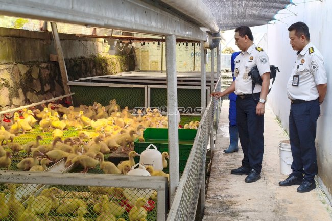 Jadi Lokasi Studi Tiru Rutan Depok, Lapas Cibinong Tampilkan Inovasi Pembinaan