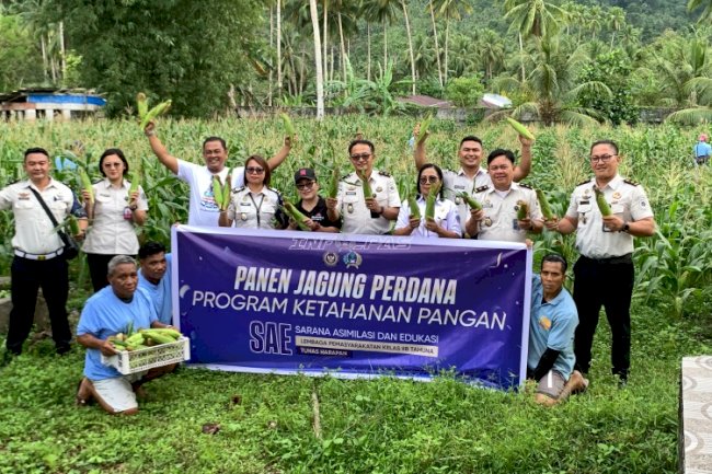 Panen Jagung Perdana, Lapas Tahuna Lanjutkan Program Ketahanan Pangan