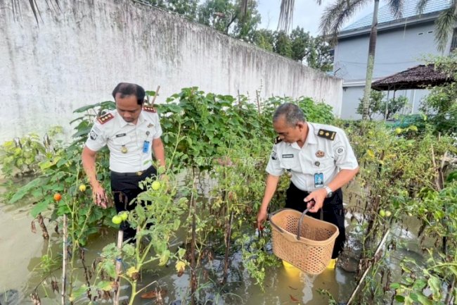 Dukung Ketahanan Pangan, Rutan Barabai Panen 10 Kg Tomat