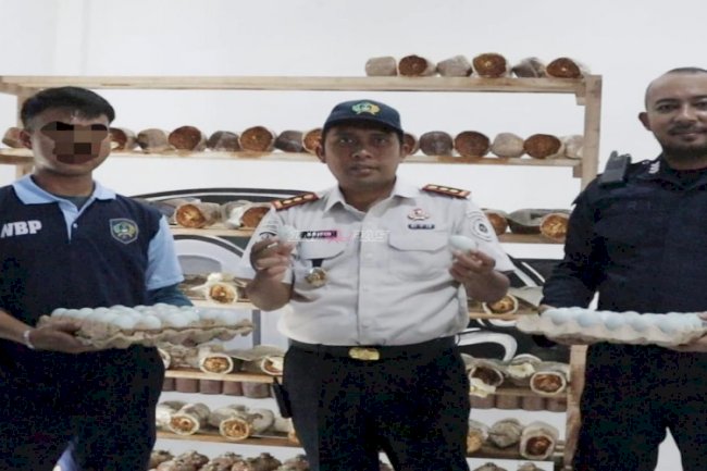 Lapas Batulicin Panen Telur Asin Hasil Program Pembinaan Kemandirian