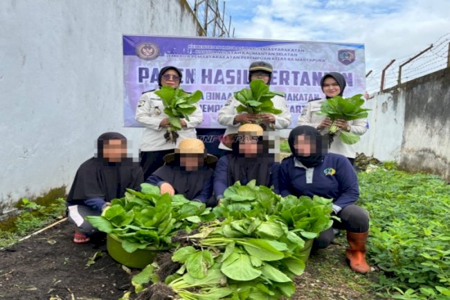 Lapas Perempuan Martapura Panen Sawi dan Pupuk Kompos, Wujud Pembinaan Kemandirian dan Dukun Ketahanan Pangan