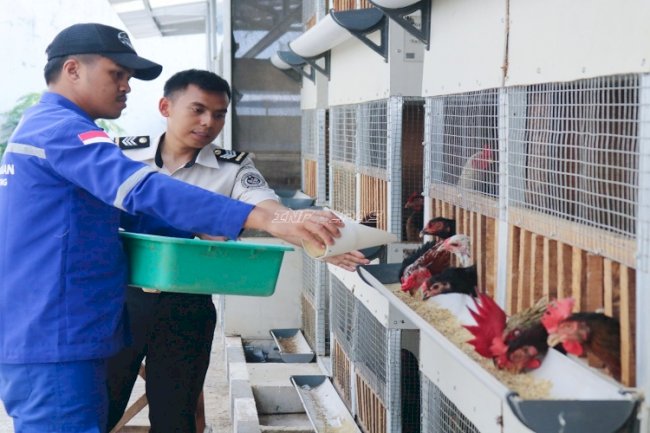 Kebun Inovasi Lapas Cibinong, Wadah Pembinaan Produktif dan Dukungan Program Ketahanan Pangan