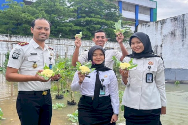 Rutan Barabai Panen Buncis dan Kembang Kol, Dukung Program Ketahanan Pangan