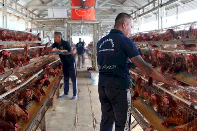 Lapas Narkotika Jakarta Siapkan Napi “From Prisoner to Entrepreneur” lewat Garmen dan Peternakan Ayam Petelur