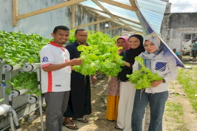 Manfaatkan Pipa Paralon, Lapas Tual Hasilkan 21 Kg Selada Segar
