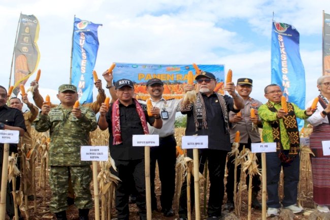Dari Lahan Tandus Jadi 10 Ton Jagung, Pemasyarakatan NTT Buktikan Pembinaan Warga Binaan Berdampak Nyata
