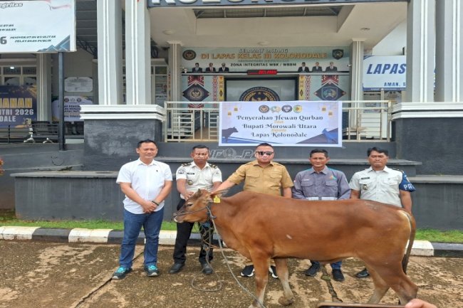Lapas Kolonodale Terima Satu Sapi Kurban dari Bupati Morowali Utara 