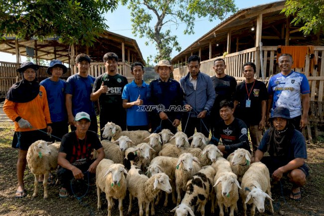 Lapas Terbuka Kendal Salurkan 17 Domba Kurban untuk Bapas se-Jawa Tengah