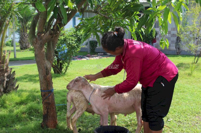 Jelang Iduladha, Rutan Perempuan Surabaya Terima Bantuan 11 Hewan Kurban