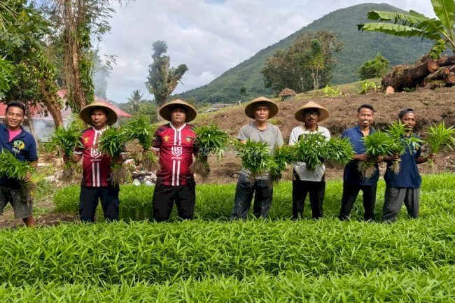 Lapas Bandanaira Panen 25 Ikat Kangkung Segar dari Lahan SAE
