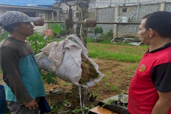 Panen Kangkung 62 Kg, Bukti Nyata Pembinaan Kemandirian di Lapas Narkotika Karang Intan