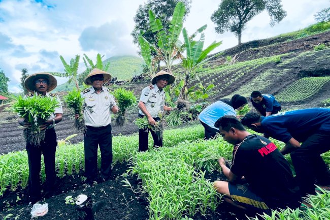Pembinaan Produktif, Lapas Bandanaira Panen 35 Ikat Kangkung