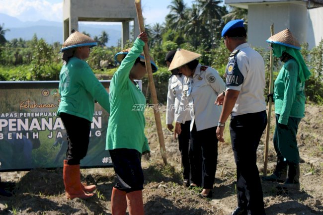 Dukung Ketahanan Pangan, Lapas Perempuan Palu Tanam 7.000 Benih Jagung