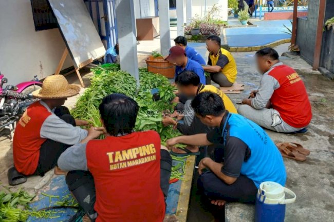 Rutan Marabahan Panen 50 Ikat Kangkung, Wujudkan Kemandirian Pangan dari Lahan Branggang