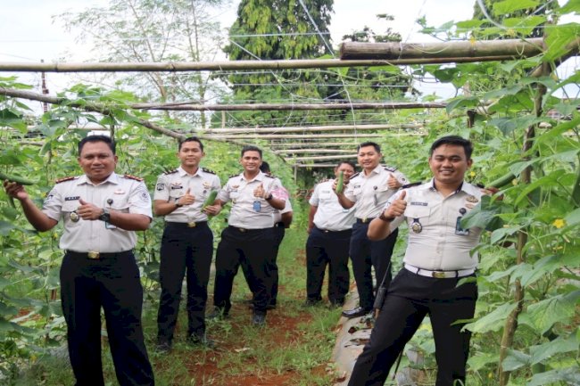 Panen 76 Kg Timun Segar, Kebun SAE Rutan Pelaihari Terus Tunjukkan Hasil Nyata