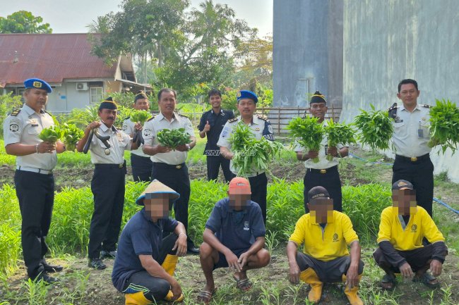 Dukung Swasembada Pangan, Lapas Parigi Sukses Panen Ratusan Ikat Sayur di Area SAE