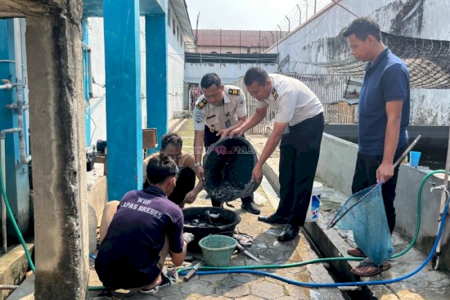 Lapas Brebes Panen 50 Kg Lele, Wujud Nyata Ketahanan Pangan dan Pembinaan Produktif