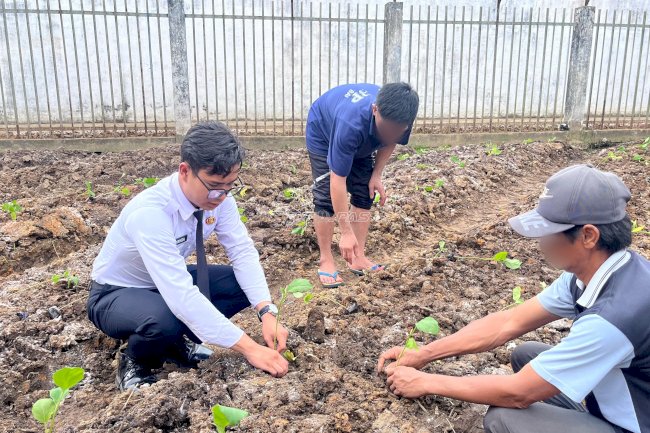 Perkuat Pembinaan Kemandirian, Rutan Barabai Tanam 200 Bibit Terung Ungu di Kebun SAE
