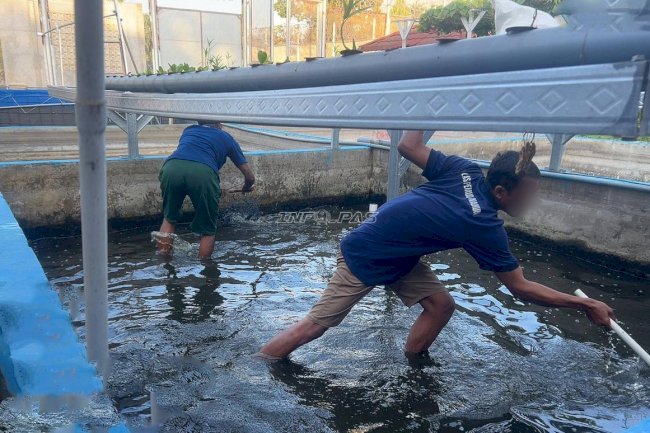 Produktif dan Mandiri, Warga Binaan Lapas Pemuda Madiun Panen 28 Kg Lele