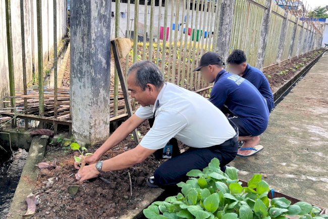 Rutan Barabai Perkuat Ketahanan Pangan melalui Penanaman 200 Bibit Terung Ungu