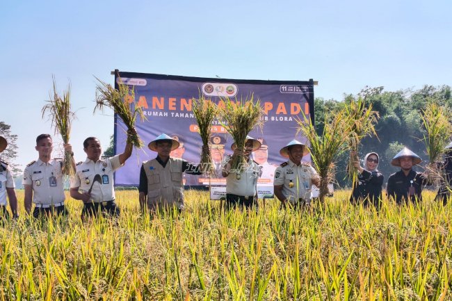 Kakanwil Ditjenpas Jateng Apresiasi Panen Raya Padi Rutan Blora