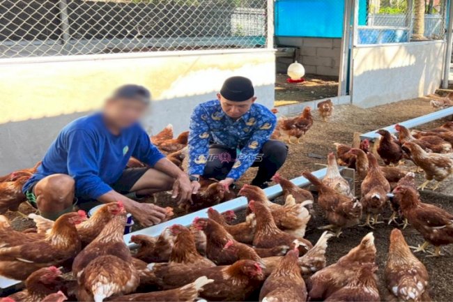 Panen 40 Butir Telur dan 14 Kg Kacang Panjang, Warga Binaan Lapas Banjarmasin Petik Hasil Pembinaan Kemandirian