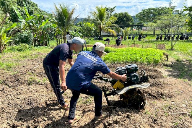 Lewat Edukasi Perkebunan, LPKA Manokwari Tumbuhkan Kemandirian Anak Binaan