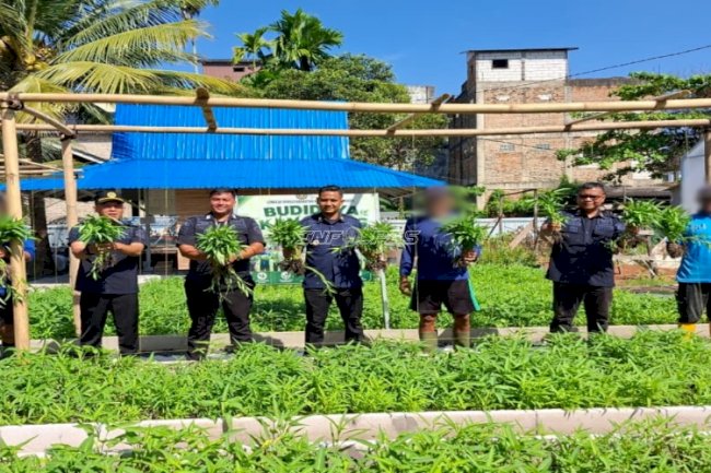 Lapas Banjarmasin Kembali Panen 38 Kg Kangkung untuk Dapur Lapas dan Pasar Luar