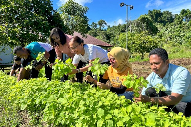 LPKA Manokwari Panen Perdana Bayam dari Program Kebun Pembinaan