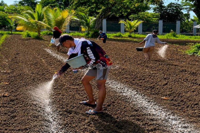 Lapas Terbuka Kendal Siapkan Lahan 2.700 Meter Persegi untuk Budidaya Terung Ungu