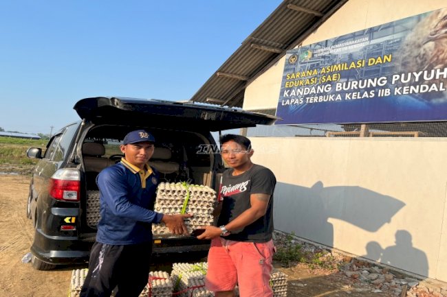 Bukti Produktivitas Pembinaan, Lapas Terbuka Kendal Jual 100 Kg Telur Puyuh