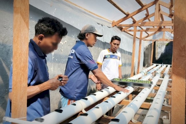 Warga Binaan Lapas Bandanaira Budidayakan Tanaman Hidroponik