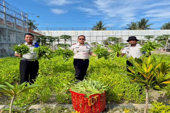 Rutan Donggala Sukses Panen 100 Kg Kangkung Segar