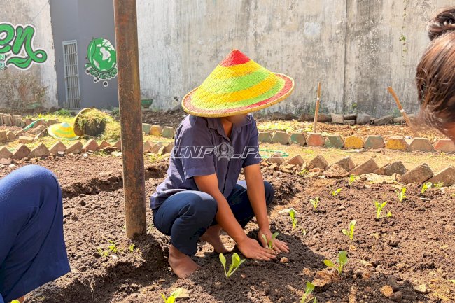 Tanam 300 Bibit Sawi, Warga Binaan Lapas Perempuan Malang Asah Keterampilan Pertanian