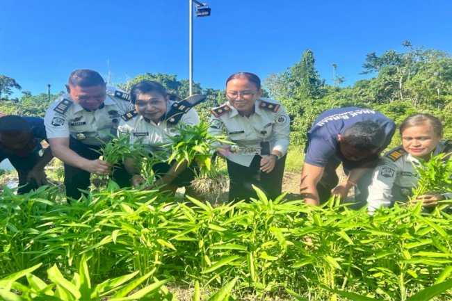 LPKA Manokwari Panen Kangkung, Wujud Keberhasilan Pembinaan Kemandirian
