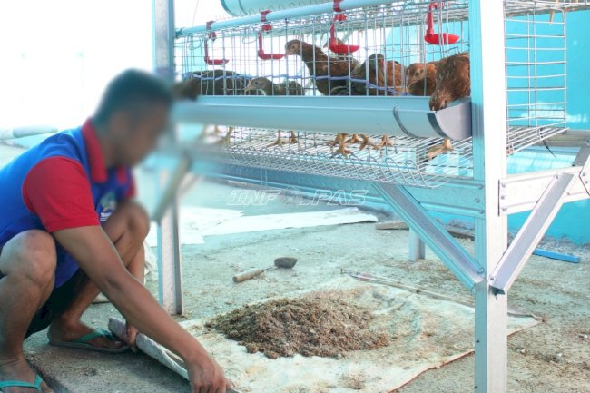 Warga Binaan Lapas Banjarmasin Ubah Limbah Peternakan Jadi Pupuk Organik