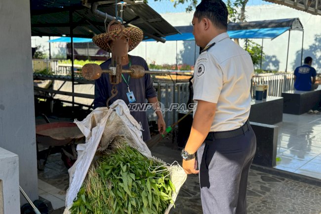 Lapas Narkotika Karang Intan Panen 50 Kilogram Kangkung, Dukung Ketahanan Pangan Nasional
