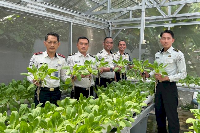 Program Ketahanan Pangan, Bapas Tanjungpandan Panen Pakcoy di Rumah Hidroponik