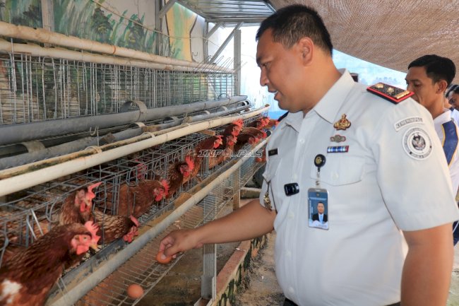 Optimalisasi Lahan Idle, Lapas Pemuda Madiun Kembangkan Program Ketahanan Pangan