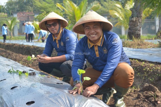 Lapas Terbuka Kendal Tanam 3.600 Bibit Terung di Lahan 2.700 Meter Persegi