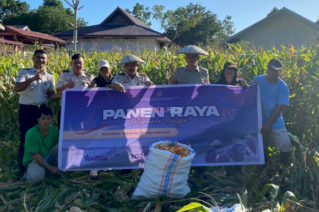 Lapas Tahuna Panen Raya Jagung, Capai 5.000 Tongkol