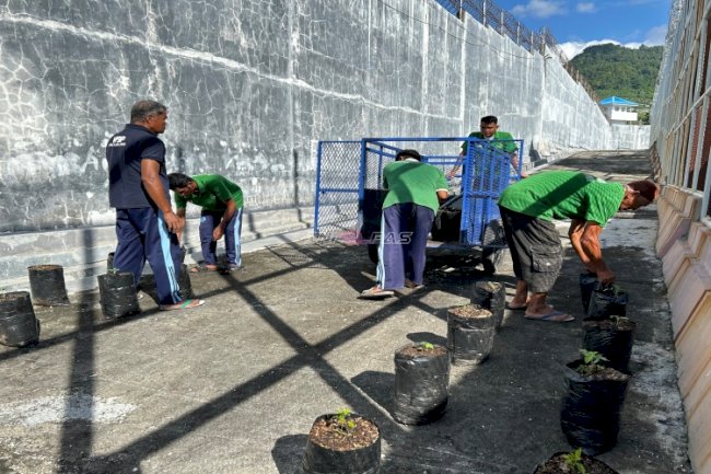 Manfaatkan Lahan Kosong, Warga Binaan Lapas Luwuk Sulap Area Lapas Jadi Kebun Cabai dan Tomat