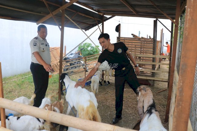 Dari Semak Jadi Kandang Ternak, Lapas Pemuda Madiun Sulap Lahan Terbengkalai Jadi Sentra Ketahanan Pangan