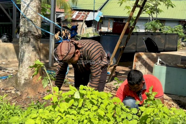 Dukung Program Ketahanan Pangan, Rutan Rantau Panen Bayam dan Kangkung Hasil Budidaya Warga Binaan