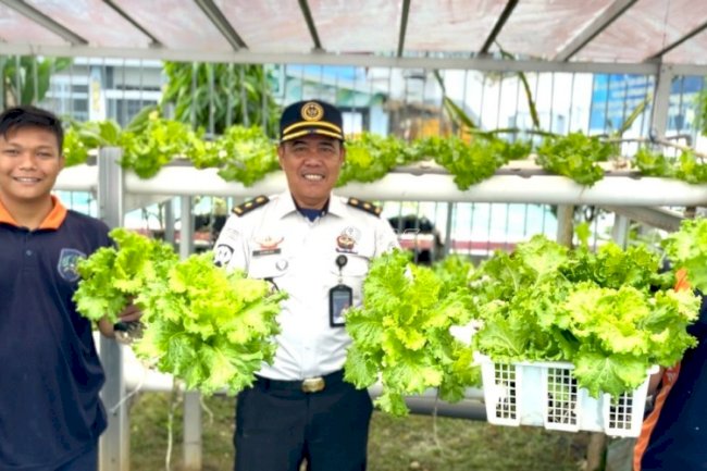 Dari Lahan Terbatas, Selada Hidroponik Lapas Kotabaru Terus Dukung Kemandirian Pangan