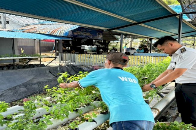 Warga Binaan Lapas Narkotika Karang Intan Panen 1 Kg Daun Mint untuk Teh Mint Laskarin
